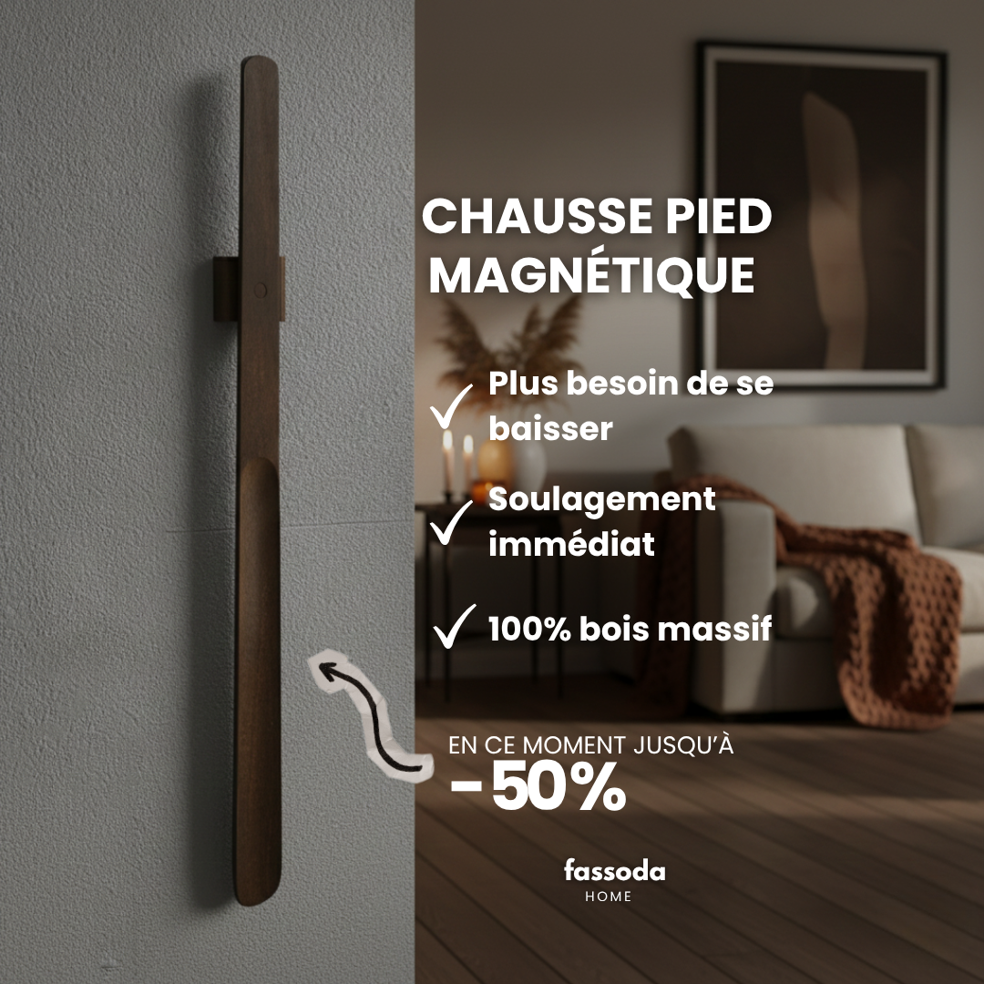 Chausse pied magnétique