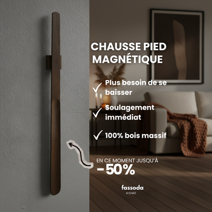 Chausse pied magnétique